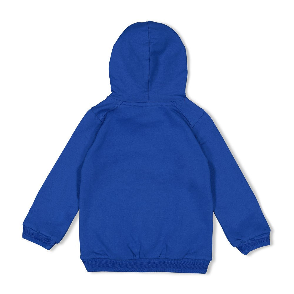 Sturdy Chasing Trails - Hoody