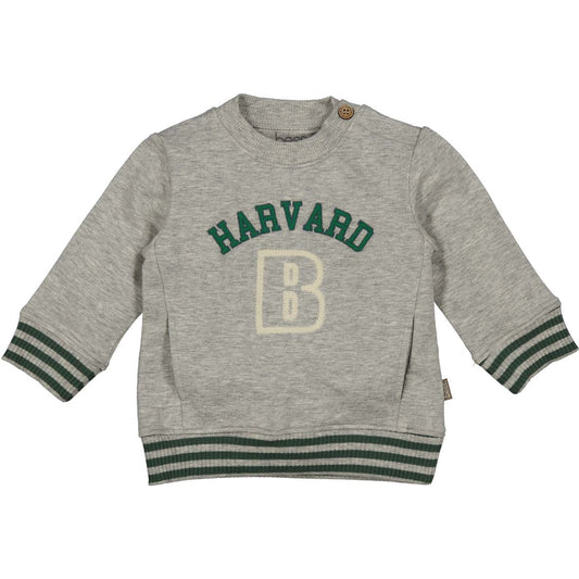 Bess - Sweater harvard