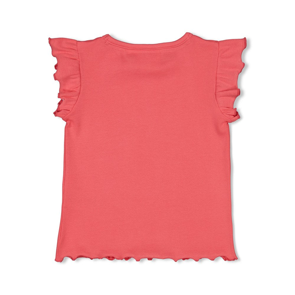 Jubel - t-shirt rib koraal - Picknick Perfect