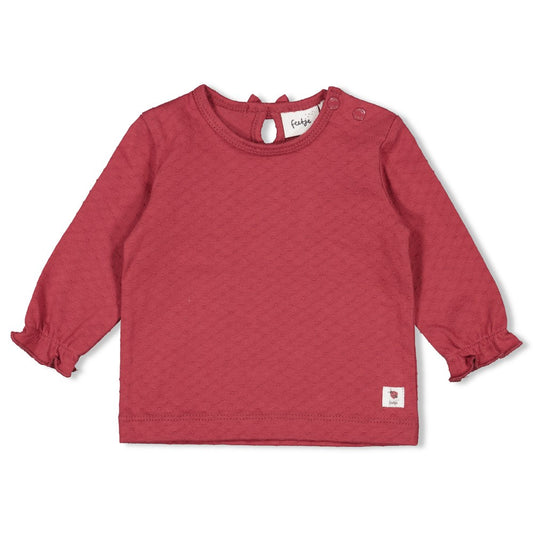 Feetje - Longsleeve - Ladybug