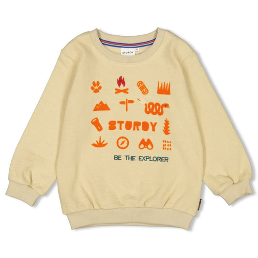 Sturdy Chasing Trails - Sweater